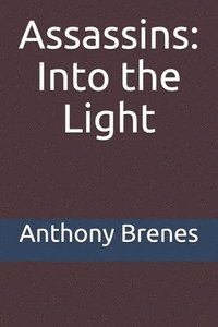 bokomslag Assassins: Into the Light