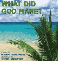 bokomslag What Did God Make?