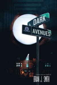 bokomslag Dark Avenues
