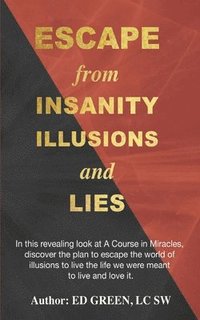 bokomslag Escape from Insanity Illusions and Lies