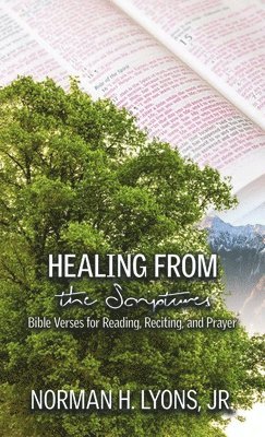 bokomslag Healing From the Scriptures