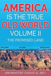 bokomslag America is the True Old World Vol 2