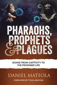 bokomslag Pharaohs, Prophets & Plagues