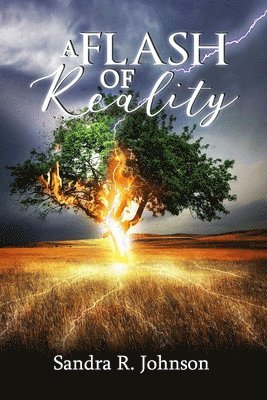 Flash of Reality 1