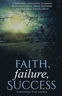 bokomslag Faith, Failure, Success Vol. 2: Surviving the Storm