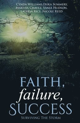 bokomslag Faith, Failure, Success Vol. 2