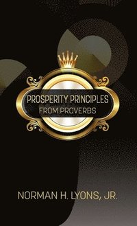 bokomslag Prosperity Principles From Proverbs