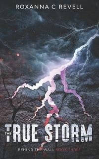 bokomslag The True Storm
