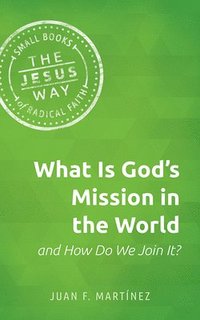 bokomslag What Is God's Mission In The World And How Do We Join It?