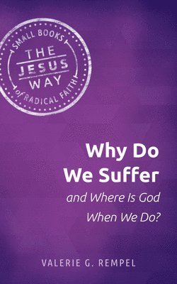bokomslag Why Do We Suffer And Where Is God When We Do?