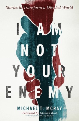 bokomslag I Am Not Your Enemy: Stories to Transform a Divided World