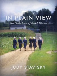 bokomslag In Plain View: The Daily Lives of Amish Women