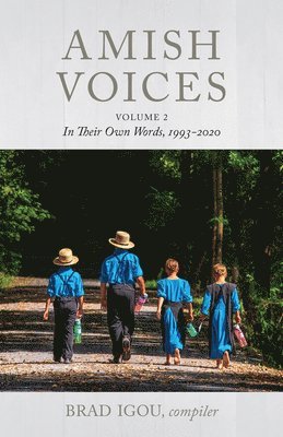 bokomslag Amish Voices, Volume 2