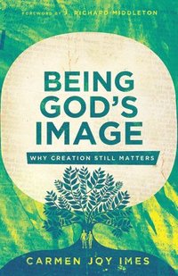bokomslag Being God's Image: Why Creation Still Matters