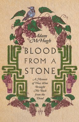Adam S. Mchugh, Adam S. McHugh - Blood From a Stone – A Memoir of How Wine Brought Me Back from the Dead, Häftad