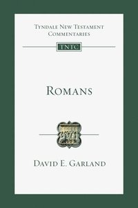 bokomslag Romans: An Introduction and Commentary Volume 6