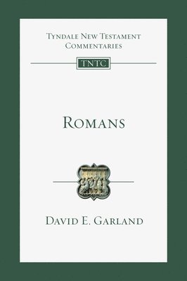 David E Garland, Eckhard J Schnabel - Romans, Häftad
