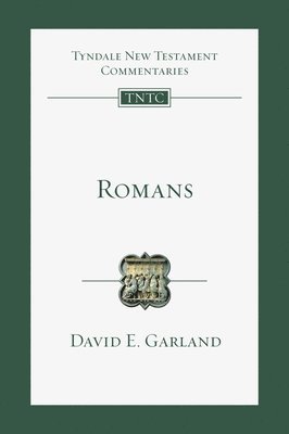 bokomslag Romans: An Introduction and Commentary Volume 6