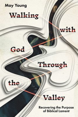 May Young - Walking with God Through the Valley, Häftad