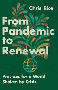 bokomslag From Pandemic to Renewal