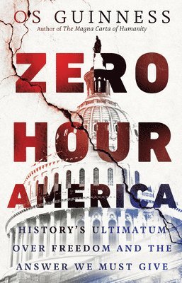 bokomslag Zero Hour America  History`s Ultimatum over Freedom and the Answer We Must Give