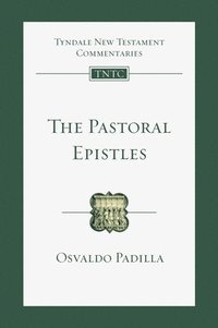 bokomslag The Pastoral Epistles: An Introduction and Commentary Volume 14