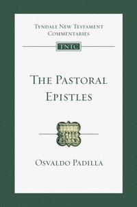 bokomslag The Pastoral Epistles: Volume 14