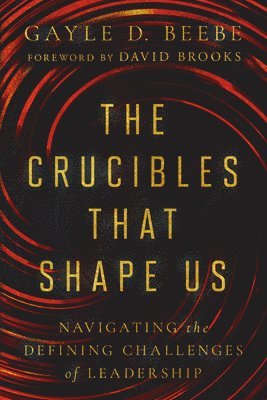 Gayle D. Beebe, Gayle D Beebe - Crucibles That Shape Us, Inbunden