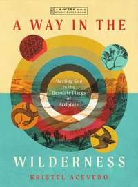 bokomslag A Way in the Wilderness: Meeting God in the Desolate Places of Scripture--A 6-Week Bible Study with Video Access