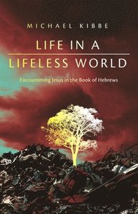 bokomslag Life in a Lifeless World: Encountering Jesus in the Book of Hebrews