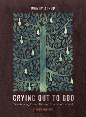 Wendy Alsup - Crying Out to God: Experiencing Grace Through Psalms of Lament--An 8-Week Bible Study with Video Access, Häftad