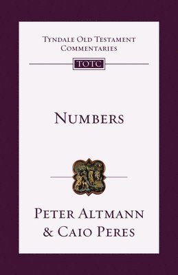 Numbers: An Introduction and Commentary 1