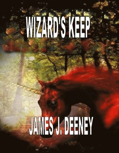 bokomslag Wizards Keep