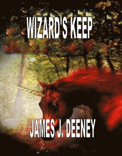 James J. Deeney - Wizards Keep, Häftad
