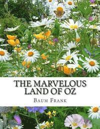 bokomslag The Marvelous Land of Oz