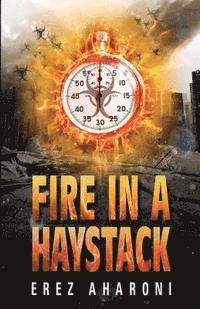 Fire in a Haystack 1