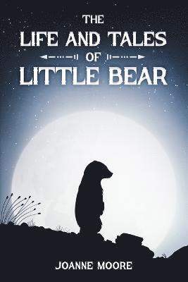 bokomslag Life and Tales of Little Bear