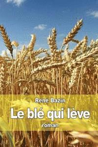 Le blé qui lève