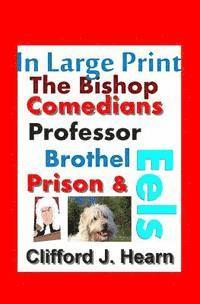 bokomslag The Bishop, Comedians, Professor, Brothel, Prison and Eels in Large Print