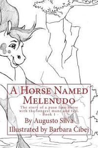 bokomslag A Horse Named Melenudo: The story of a paso fino horse with the longest mane