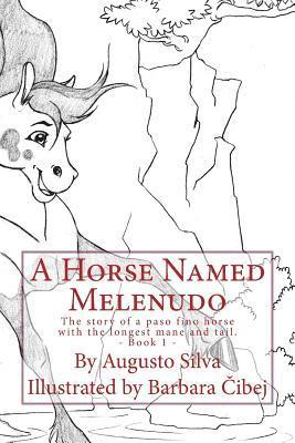 bokomslag A Horse Named Melenudo: The story of a paso fino horse with the longest mane