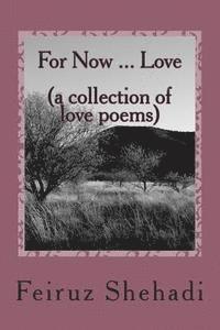 bokomslag For Now ... Love (a collection of love poems)