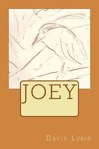 bokomslag Joey