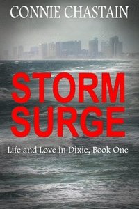bokomslag Storm Surge
