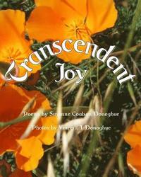 bokomslag Transcendent Joy