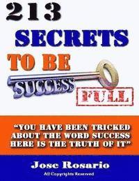 bokomslag 213 secrets to be successful