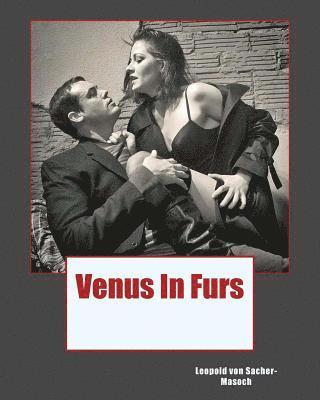 bokomslag Venus In Furs