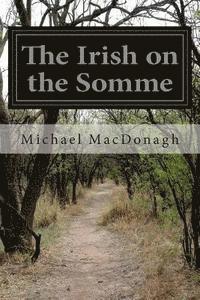 bokomslag The Irish on the Somme