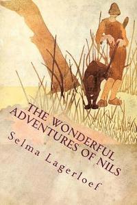 bokomslag The Wonderful Adventures of Nils: Illustrated