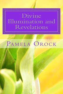 bokomslag Divine Illumination and Revelation